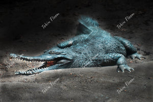 Animals: Hungry crocodile