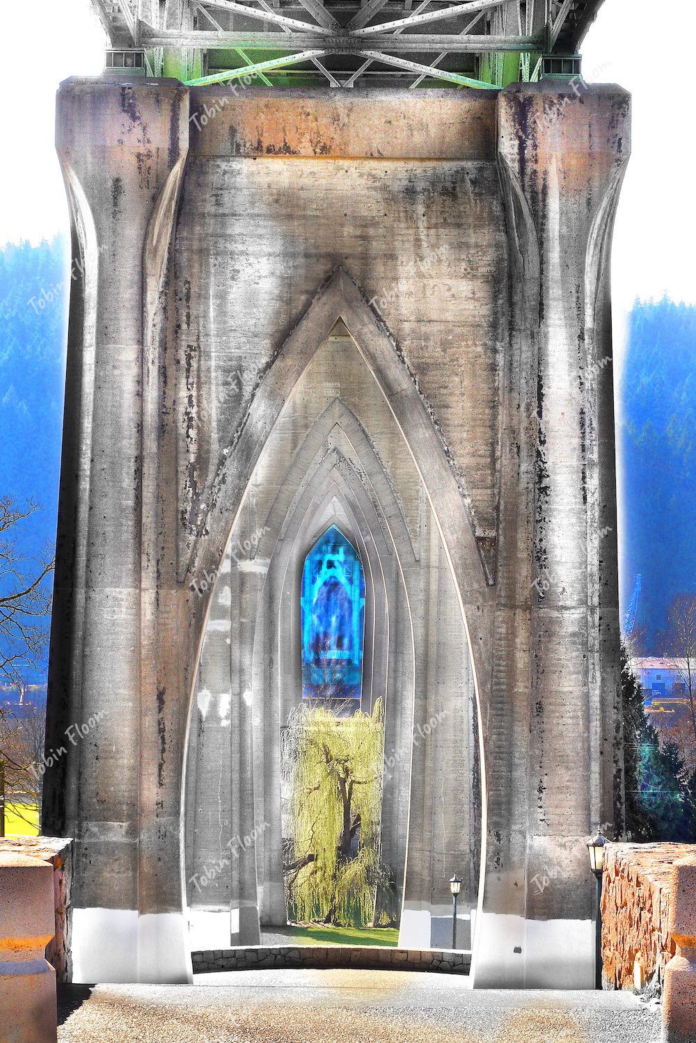 CATHEDRAL PARK bnw faded