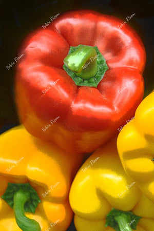Food n spirits: Red and yellow pepper