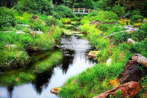 Fogarty Creek