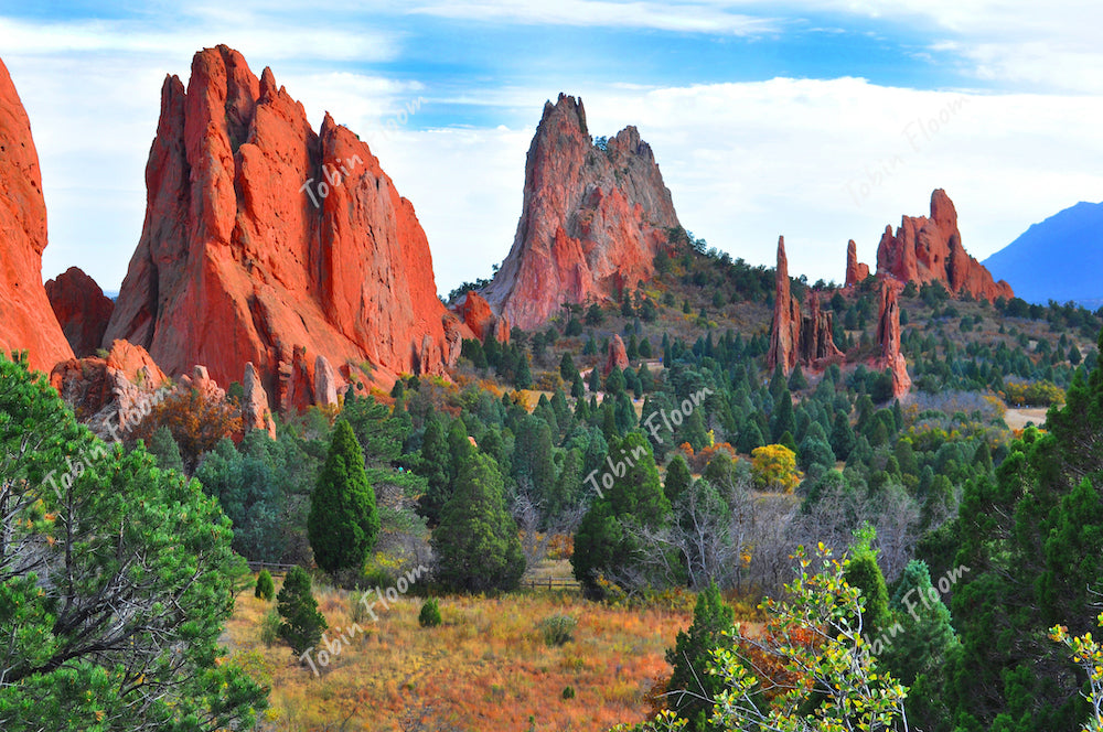 Garden of the Gods