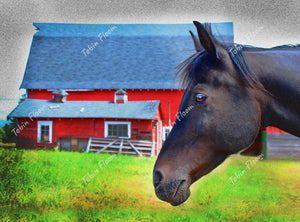 Horse