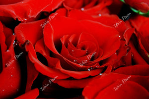 The Rose