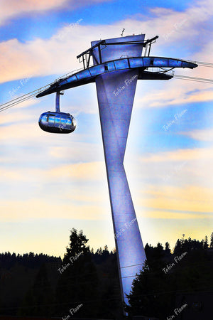 Tram