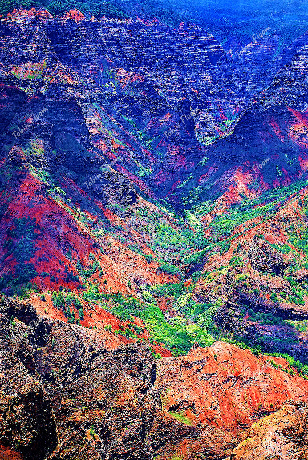 Waimea Canyon