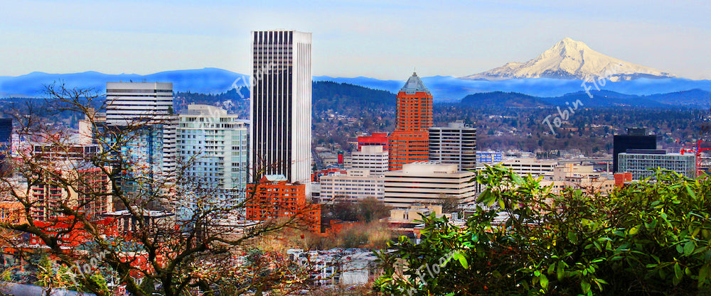 Washington Park Hood Pano