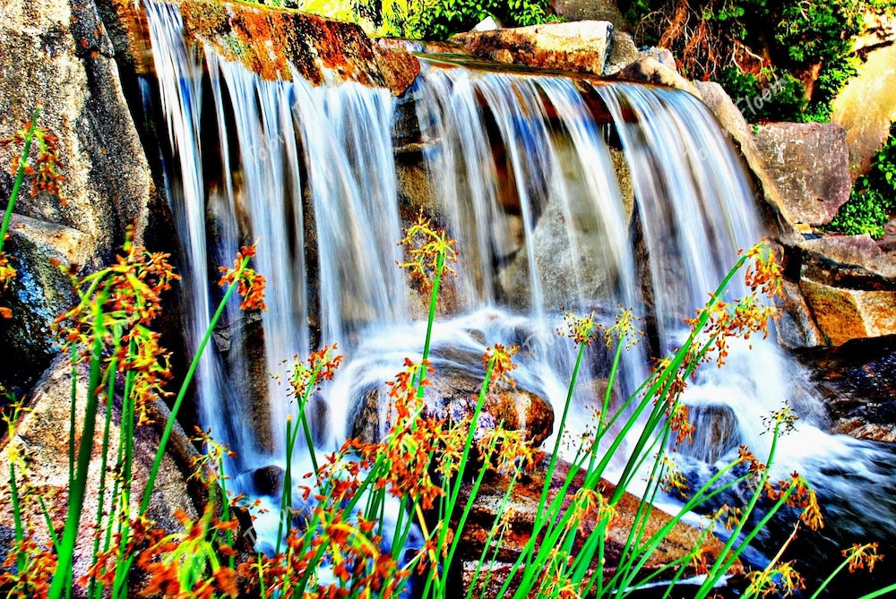 Streams