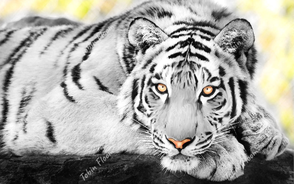 White Tiger