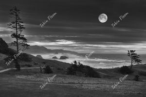 Coast: Calm BW