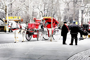 New York: Red coach