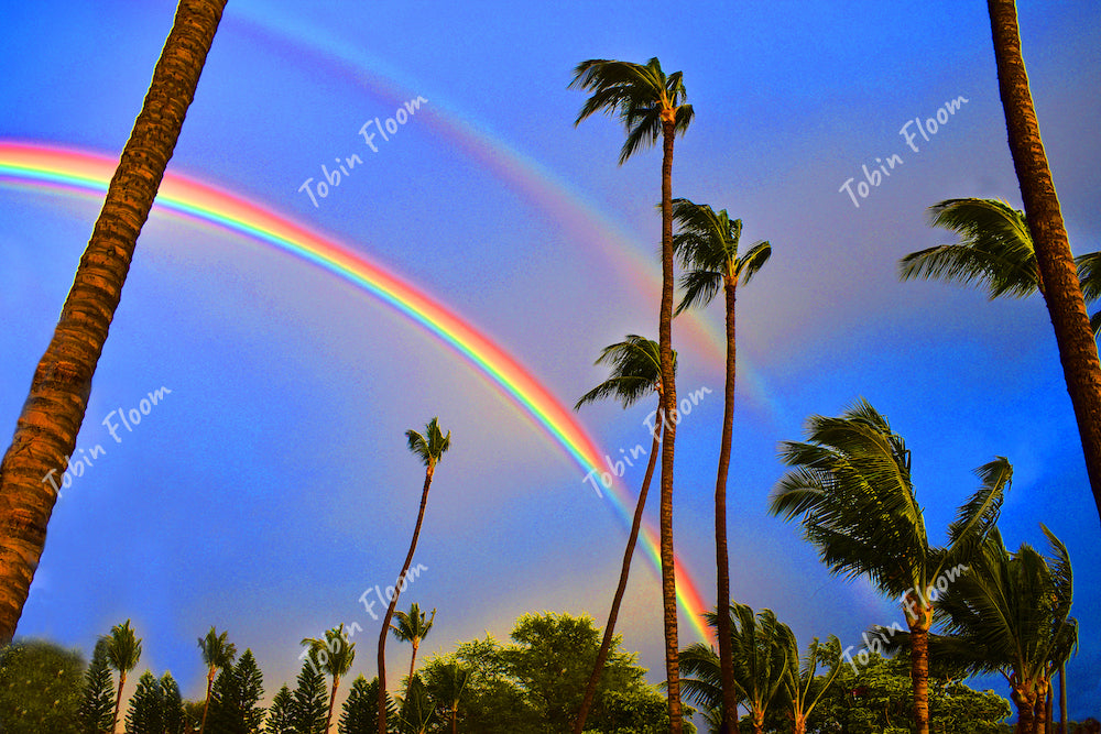 Hawaii: Rainbow