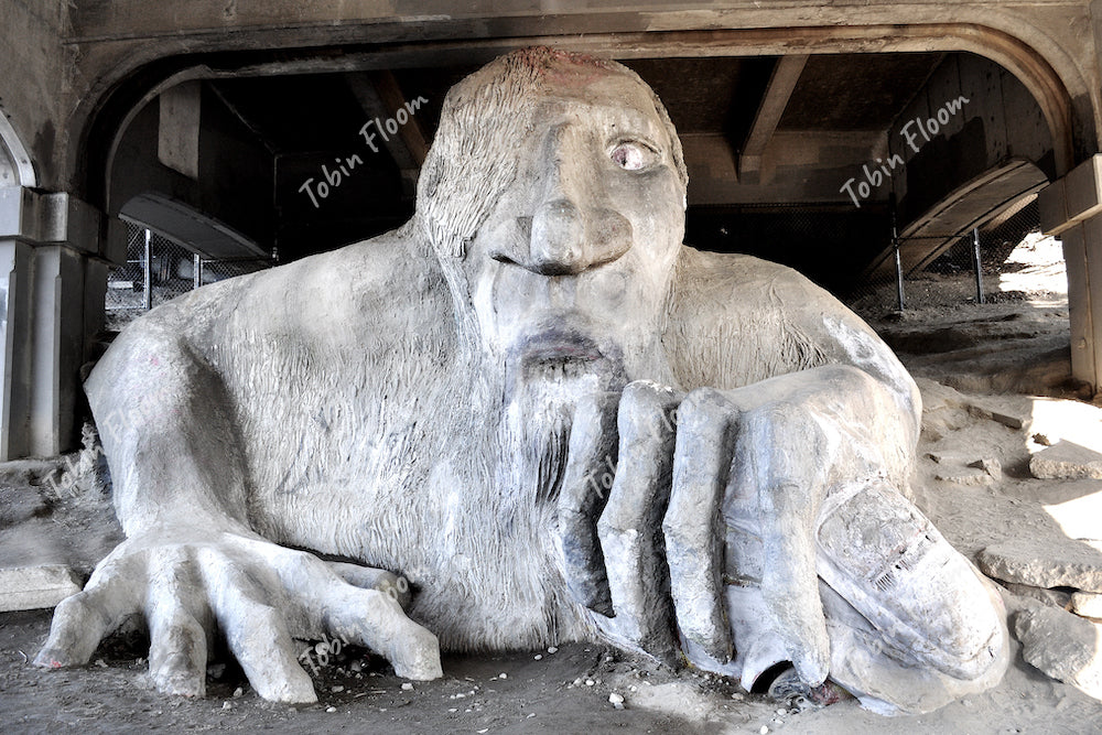 Fremont troll