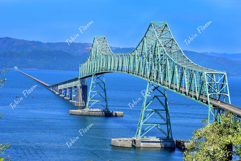Coast: Bridge