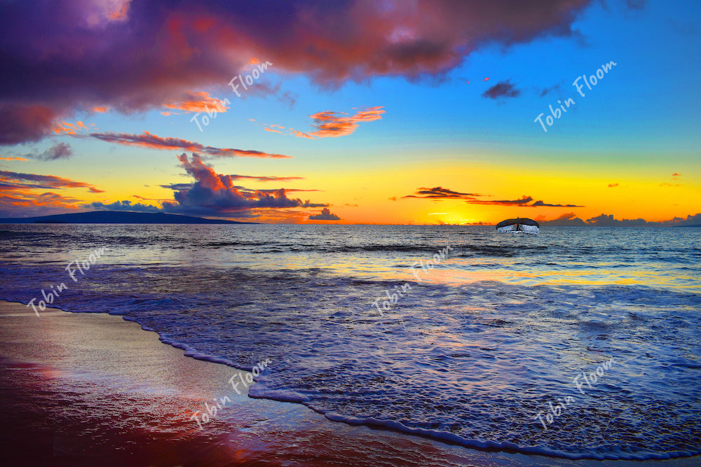 Hawaii: Magical sunset