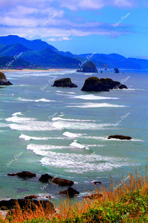 Coast: Coast view vertical