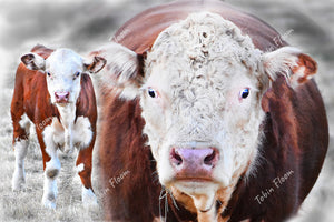 Animals: Mama cow