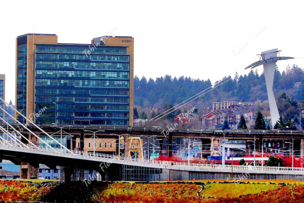 Aohsu n tram