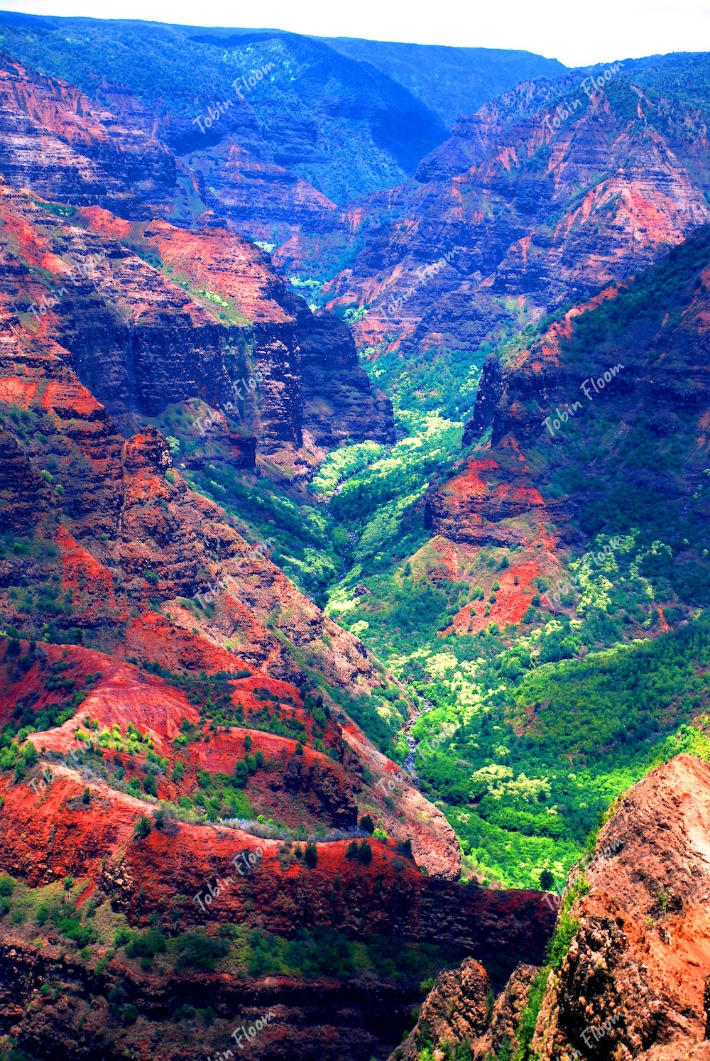 Awesome canyon Kauai