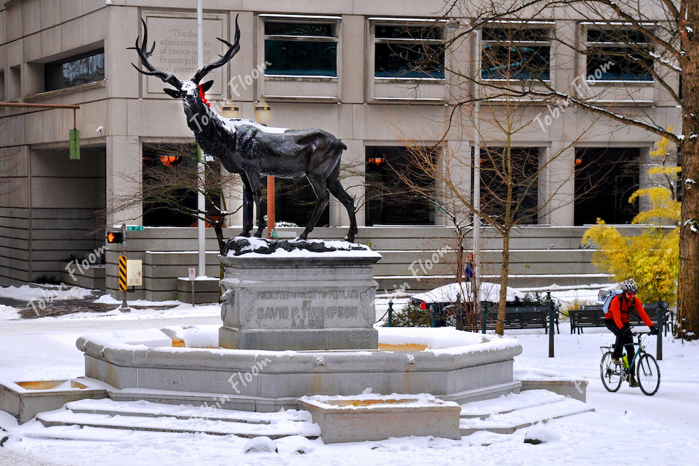 Deer final