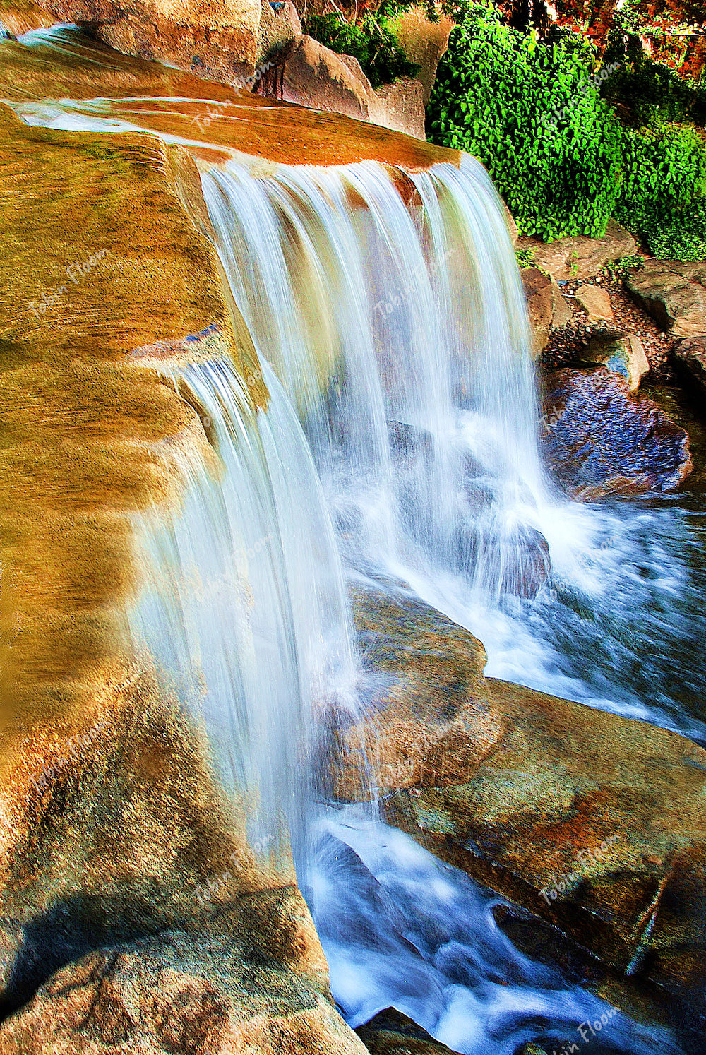 Golden falls