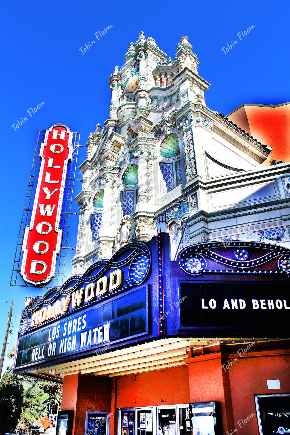Hollywood wide