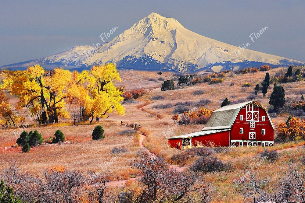 Hood barn newest