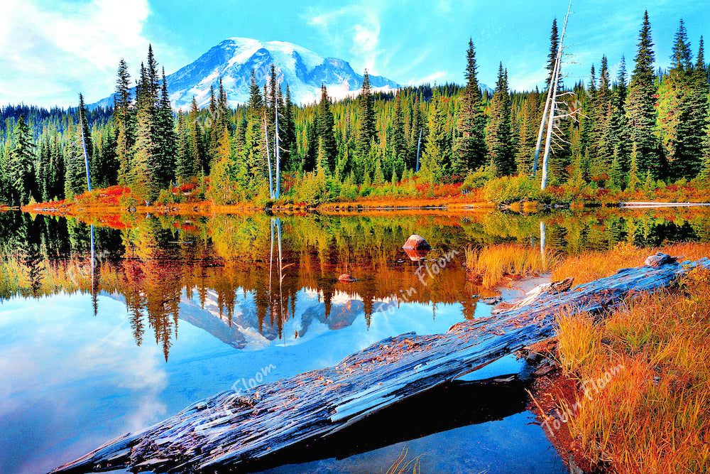 Hoosh ranier