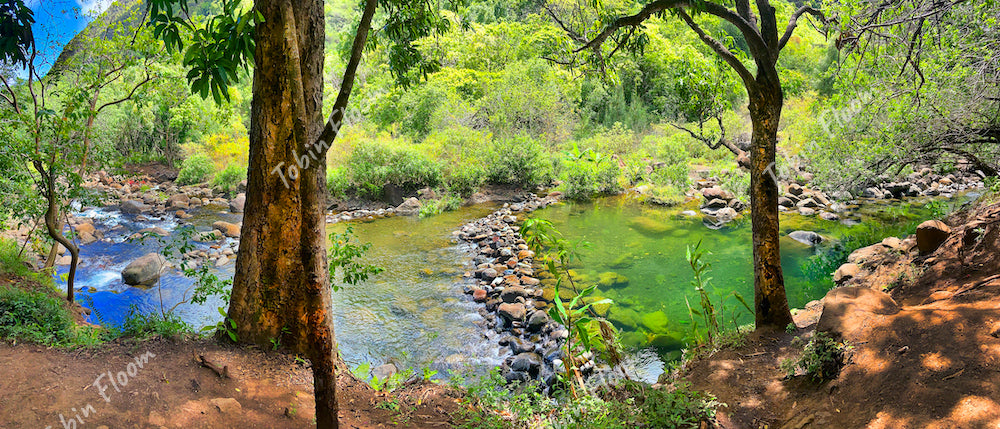 Iao valley Maui