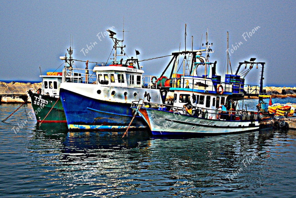 Israel port