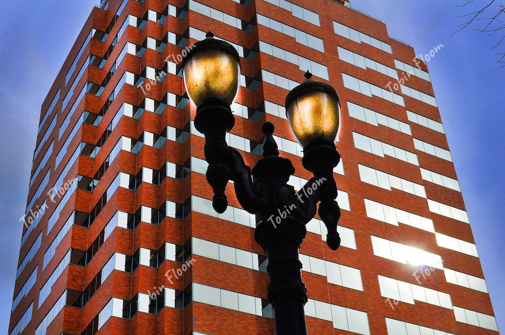 Koinlamp