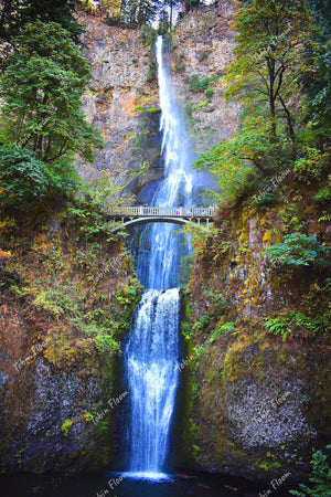 Multnomah falls