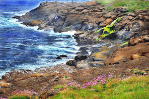 Oregon coast